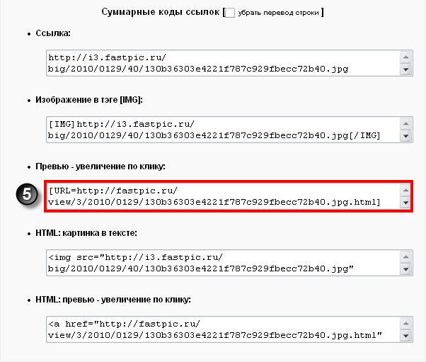 Fastpic Быстрый И Бесплатный Хостинг Картинок Загрузить Картинку Фото Изображение Telegraph