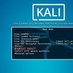 Kali Linux mit Windows installieren